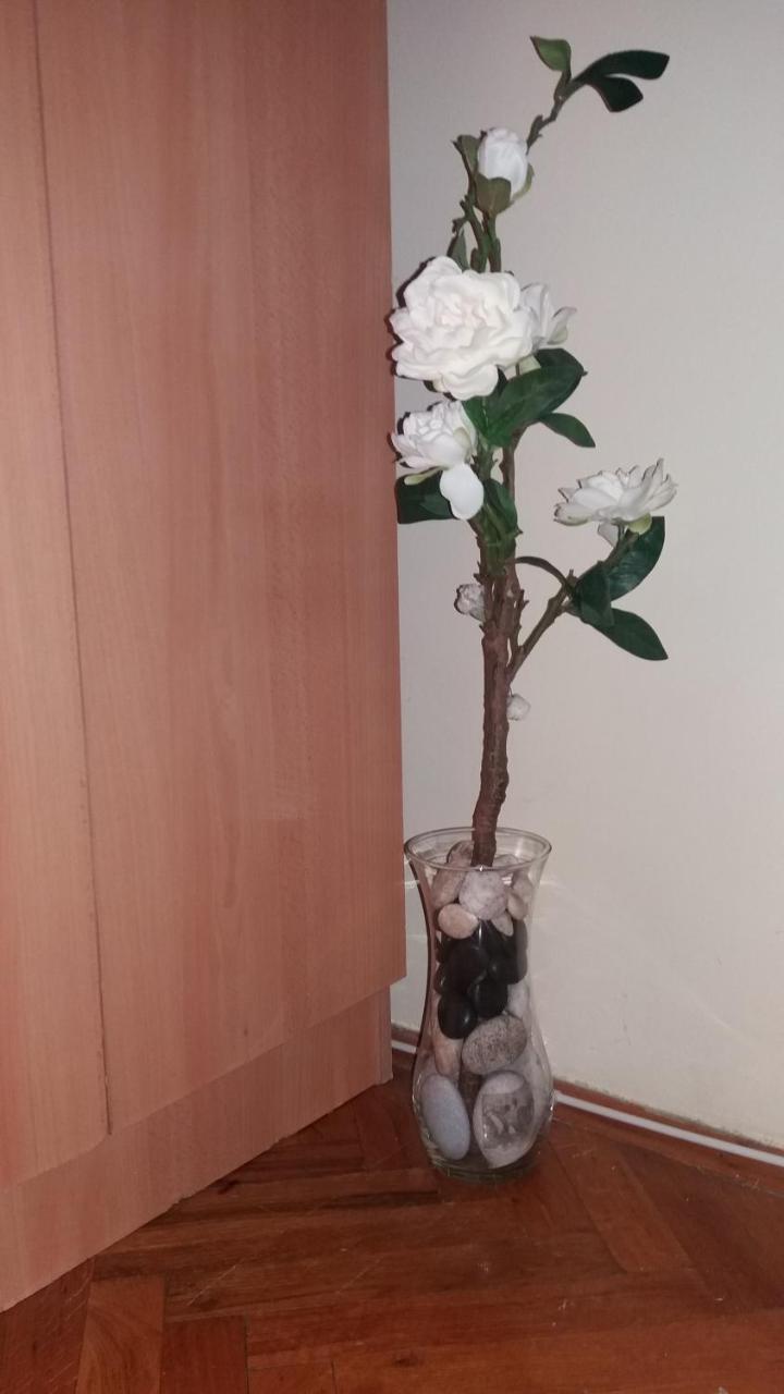 Sweet Home Center Apartment Nowy Sad Zewnętrze zdjęcie